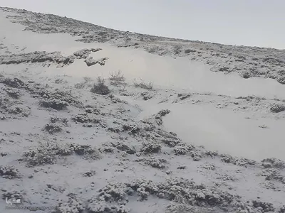 طیبعت برفی امروز در مناطق شهری و روستایی اهر
