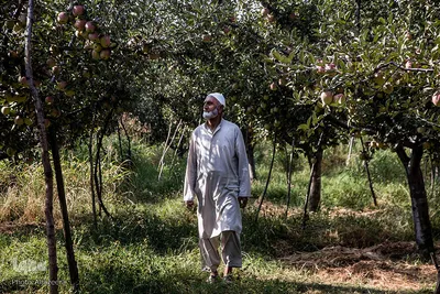 کشمیر، ۱۱۰روز بعد از لغو خودمختاری