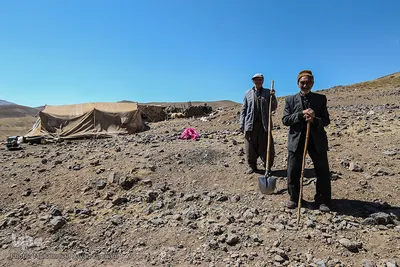 پیران و جوانان عشایر به زندگی عادت کرده اند