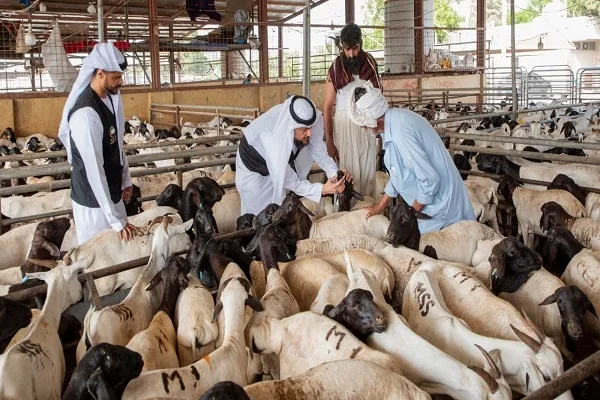 ساخت مراکز قرآنی در کمپین خیریه بین‌المللی امارات