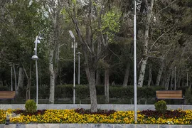 شکوفه های بهاری