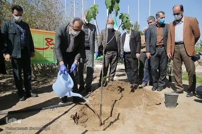 غرس سه نهال توسط بهرام سرمست استاندار قم در روز درختکاری
