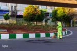 مدافعان پاکیزگی