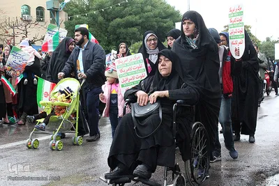 شکوه چهل سالگی در بوشهر