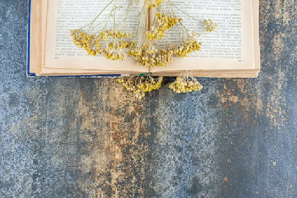 Un libro que es sanador para los corazones