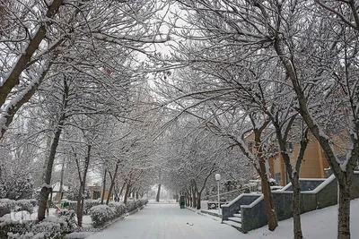 بارش برف در شهرستان اهر