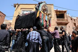 نخل‌گردانی روز عاشورا در روستای ابیانه