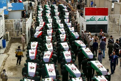 بازگشت لاله‌ها به آغوش وطن