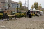 تبریز برگ‌ریز