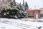 بارش نخستین برف زمستانی در ارومیه‎‎