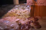 قطعه‌ای از بهشت در حرم شاهچراغ(ع)‎
