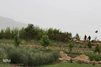 اردیبهشت باغ گل های شیراز‎‎