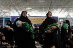 همایش شیرحوارگان در کرج