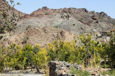 دوباره پاییز