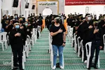 احلی من العصل ‎‎