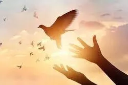 Comment le traité de Hudaybiya et celui de l'imam Hassan (as) favorisa le progrès de l'islam?