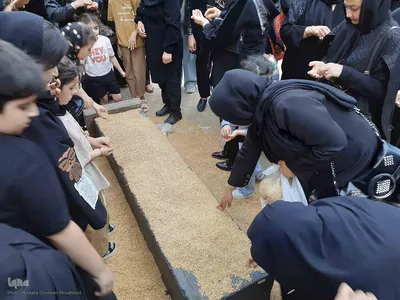 مراسم سنتی نیت کردن و توسل بر امام حسین(ع) با گندم شماری و نذر گندم در اهر