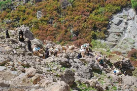 مادران ایل