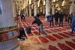 165 Palestiniens assassinés par l'occupation en 2022