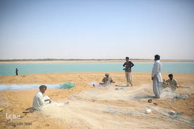 طبیعت صفر مرزی چابهار