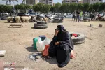 خرید و  فروش دام در روز عید قربان
