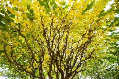 پاییز٬فصل آیه های خدا