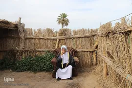 برداشت گل شب‌بو در حمیدیه
