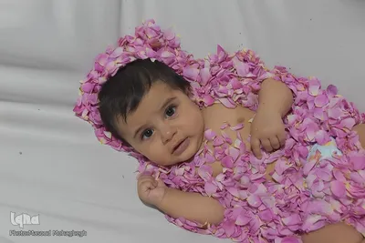 آیین گل‌غلتان نوزادان در خانه تاریخی پورحسینی های شهرستان سمنان