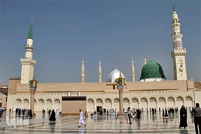 مزار نور