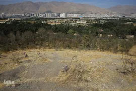 پارک جنگلی چیتگر