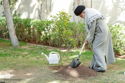 کاشت نهال در روز درختکاری