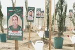 آیین درختکاری در اصفهان