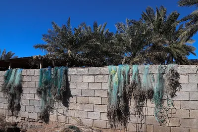 تالاب شادگان