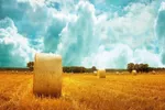 مخزن اسرار الهی؛ از حقیقت «یس» و «سلام» تا ملکوت آسمان‌ها