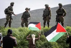 European MPs Urge Action against Israel's West Bank Annexation