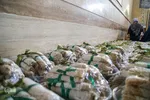 سفره حضرت رقیه(س)‎ در دانشگاه صنعتی شیراز
