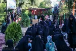 ویژه برنامه «سِرّ سَر» در گلزار شهدای شیراز‎‎