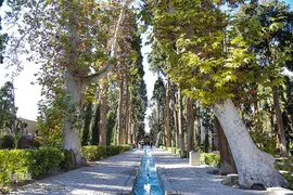 باغ فین کاشان