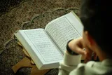 عکس | جزءخوانی قرآن کریم در آستان مقدس فاطمه اخری(س)
