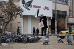چهارراه کبوترها‎‎