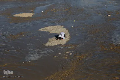 جریان زندگی در «زاینده‌رود»