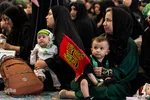 همایش شیرحوارگان در کرج