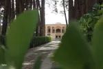 با قدم زدن در این باغ به عمق تاریخ سفر ‌کنید
