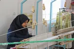سفر وزیر کشور به خراسان‌جنوبی
