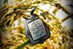 শেষ নবী ও শেষ ইমামের মধ্যে সদৃশতা