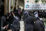 ویژه‌برنامه «بهشت اطلسی‌ها» در اصفهان‎‎