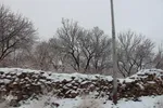 روستاهای سفیدپوش «قهستان»