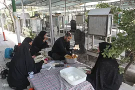 گلزار شهدا میزبان تاسوعا