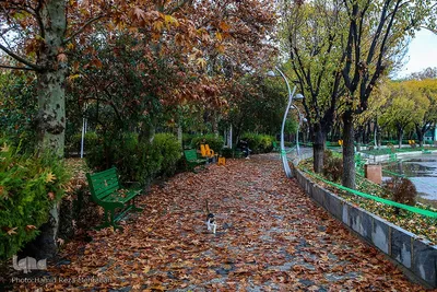 یک روز پاییزی بارانی