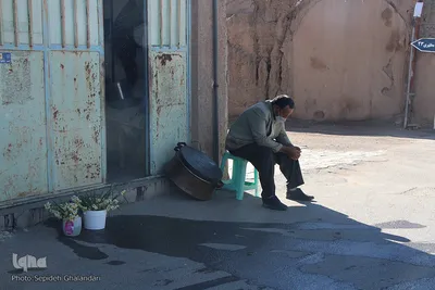 برداشت گل نرگس - خوسف